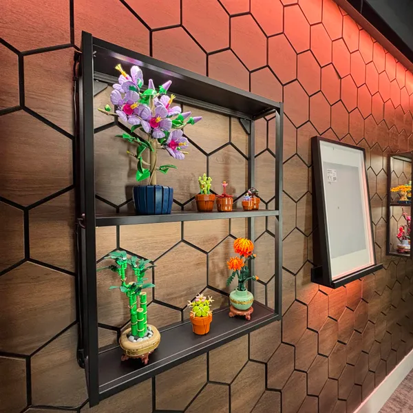 Studio – green screen